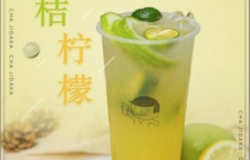 完美世界竞技：金桔柠檬