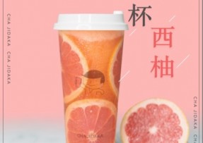 完美世界竞技：满杯西柚